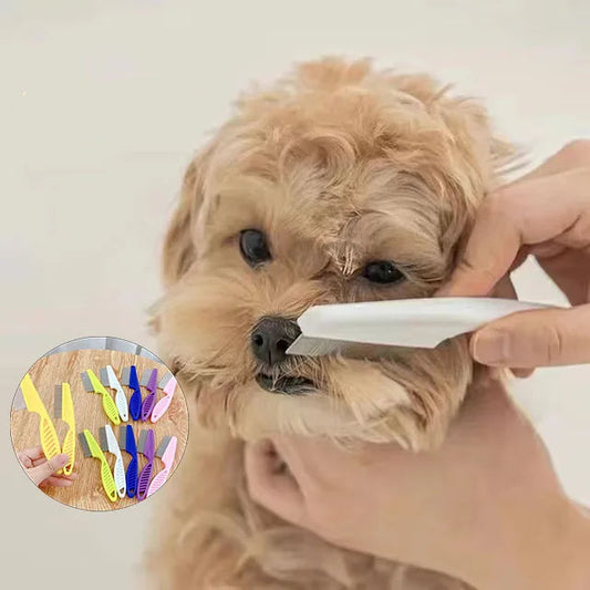 Comb Brush 6