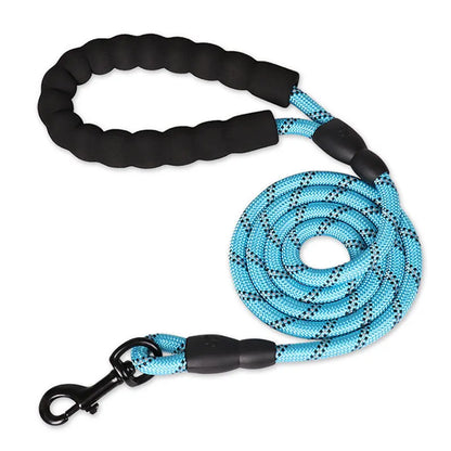 Reflective Leash