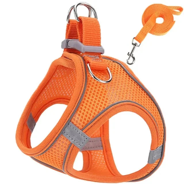 Reflective Dog Harness & Leash Set