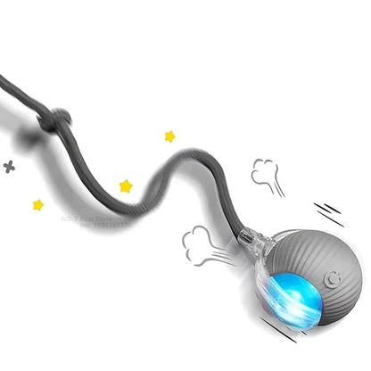 Interactive Ball Toy