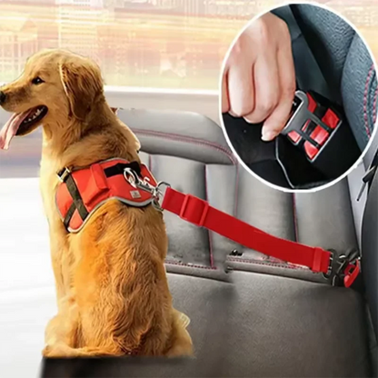 Car Safety Seat Belt Leash
