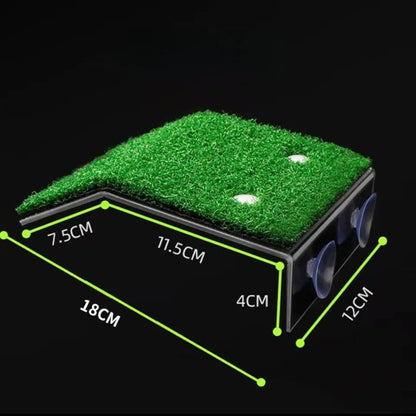 Turtle Moss Platform