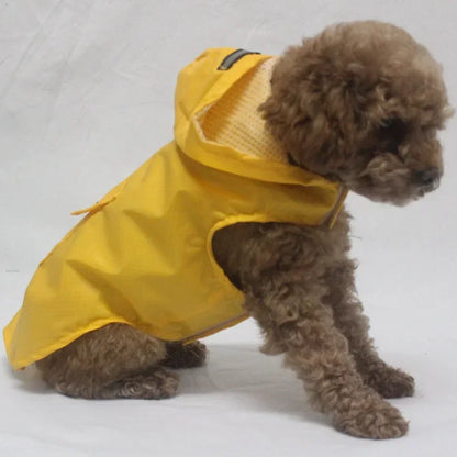 Raincoat