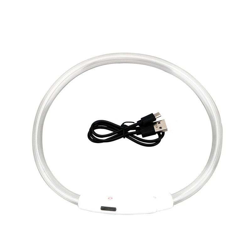 LED Collar