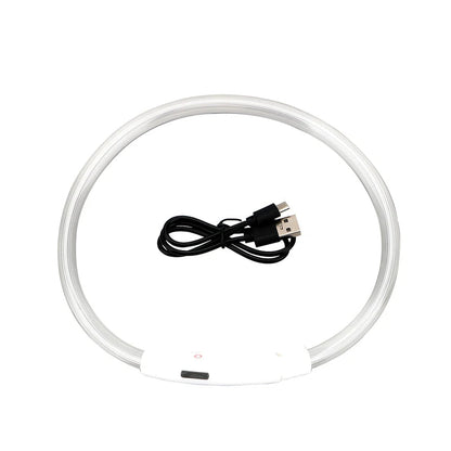 LED Collar