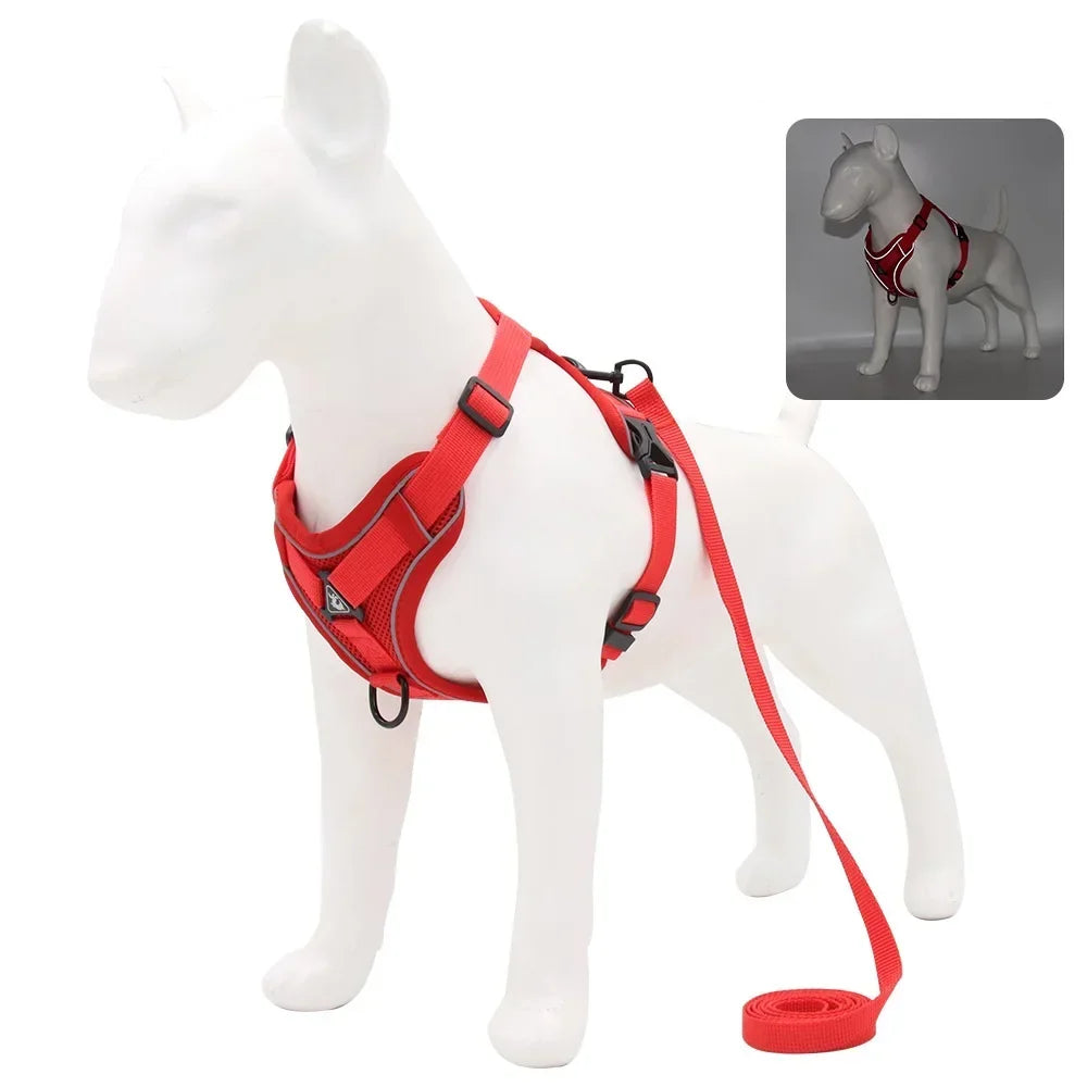 No-Pull Harness Set with 1.5m Traction Leash