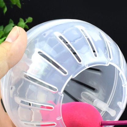 Hamster Running Ball