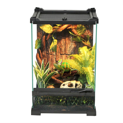 Tempered Glass Terrarium