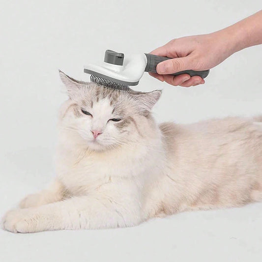 Comb Brush