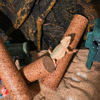 Lizard Climbing Pole