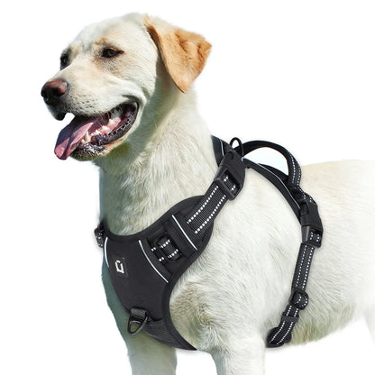 No-Pull Padded Harness