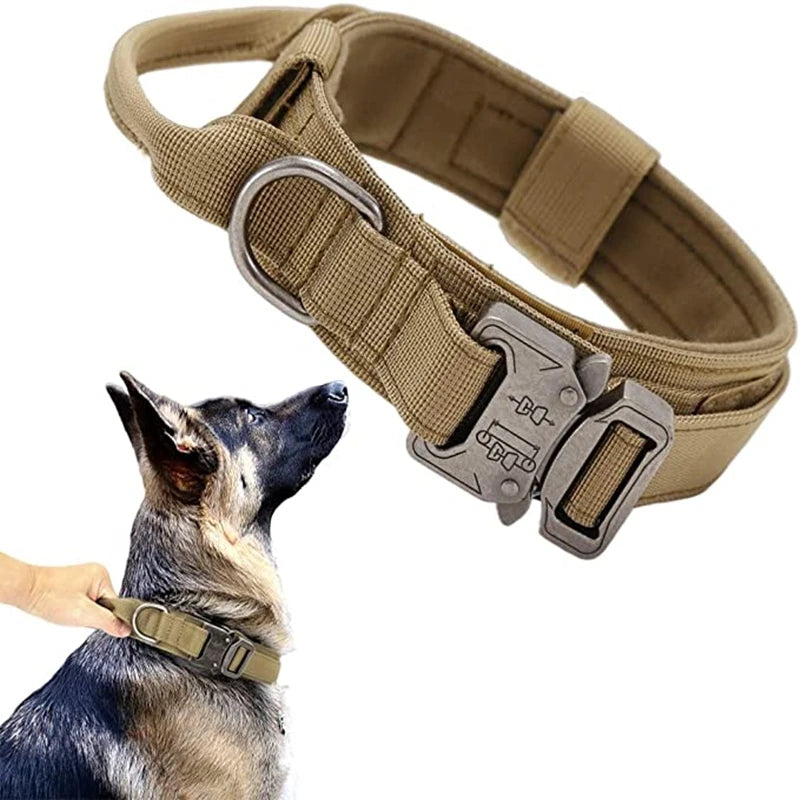 Tactical Training Collar and Leash Set