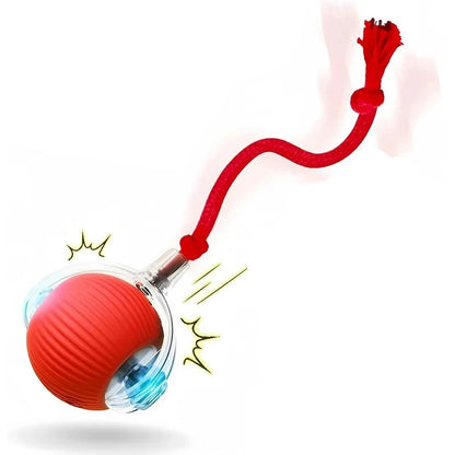 Automatic Rolling Rechargeable Dog Toy