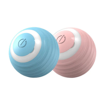 Interactive Ball Toy