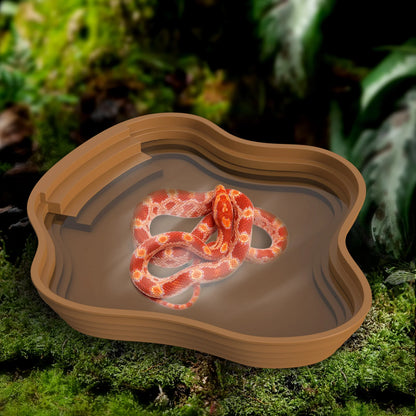 Reptile Feeding Bowl
