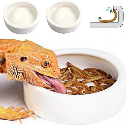 Reptile Ceramic Feeding Bowl