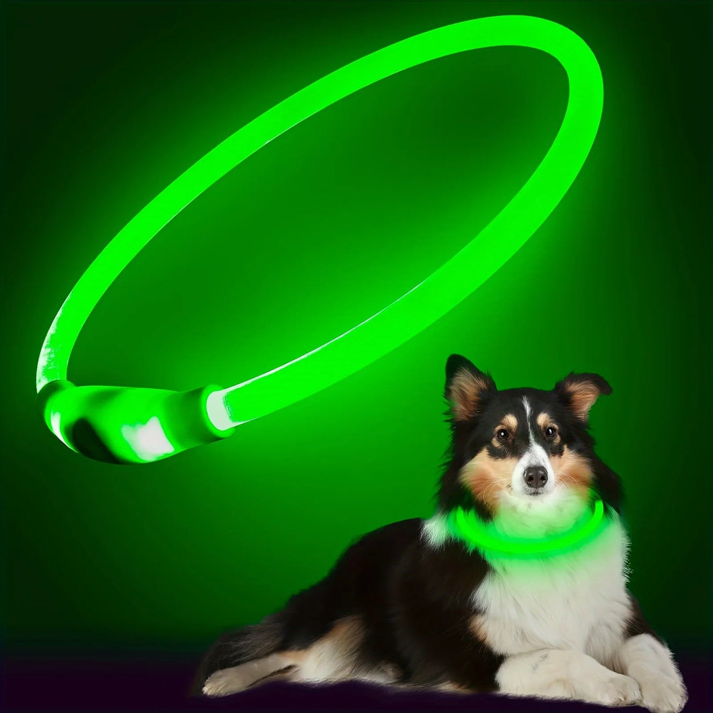 LED Collar