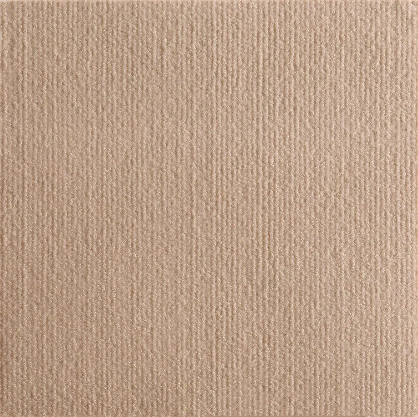 Cat Scratcher Protector Mat 6