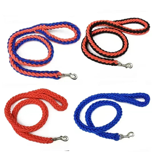Nylon Leash