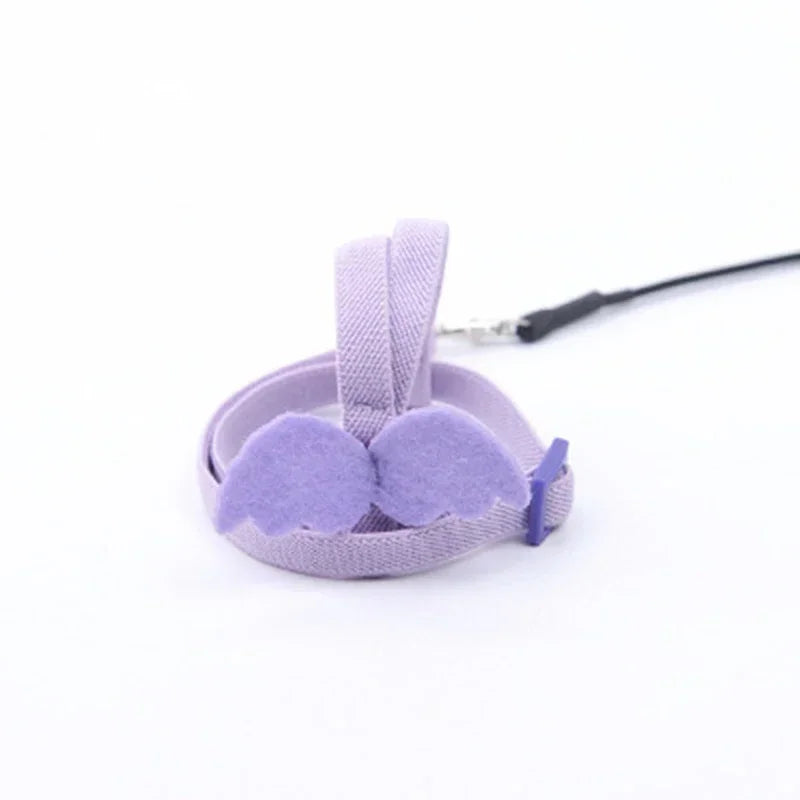 Bird Flying Harness