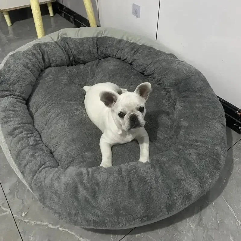 Cozy Pet Sofa - Bed