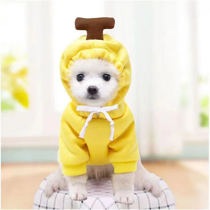Cute Fruit Pet Costume