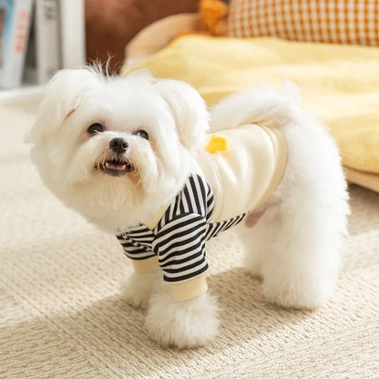 Small Dog Cute Hoodie Jacket