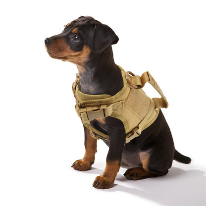 Tactical Puppy & Small Dog Harness Set