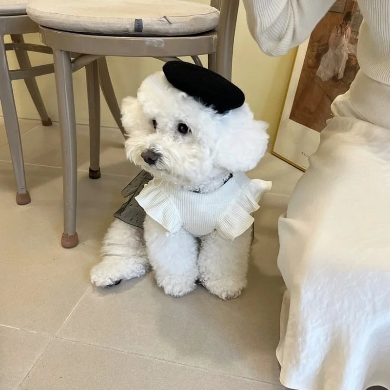 Luxury Dog Dress for Small Dogs