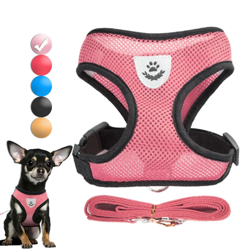 Adjustable Harness Set – Breathable Vest with Leash