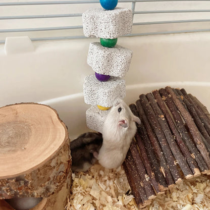 Bird Volcanic Rock Molar 1