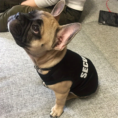 Small Dog Safety Vest