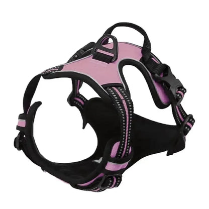 Collars, Harnesses & Leash Set