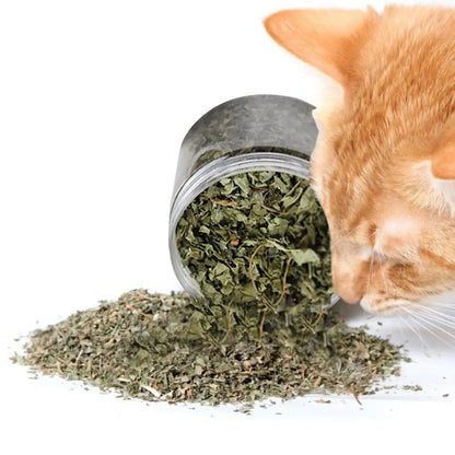 Cat Natural Catnip Supplement