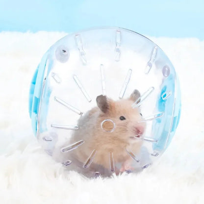 Transparent Hamster Ball