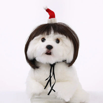 DIY Pet Wig