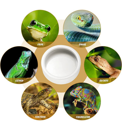 Reptile Ceramic Feeding Bowl