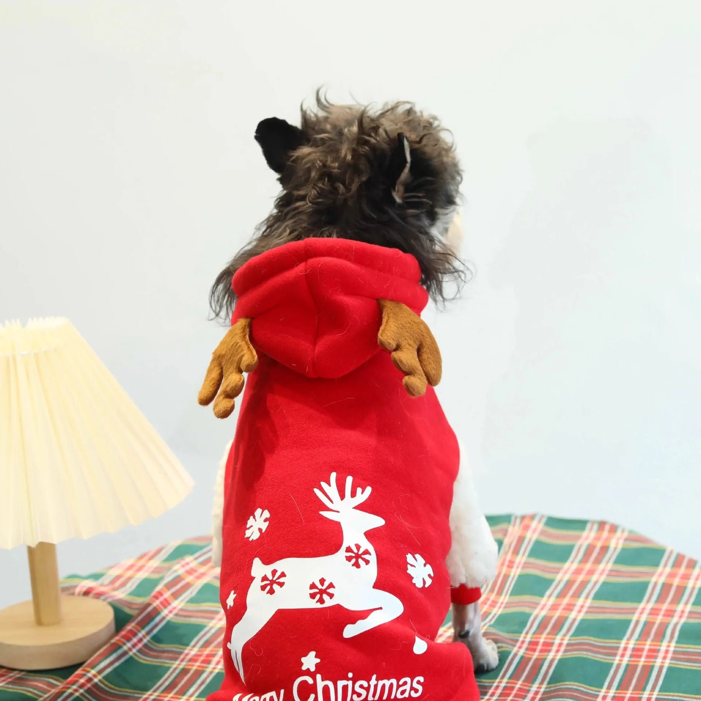 Dog Christmas Sweatshirt 1