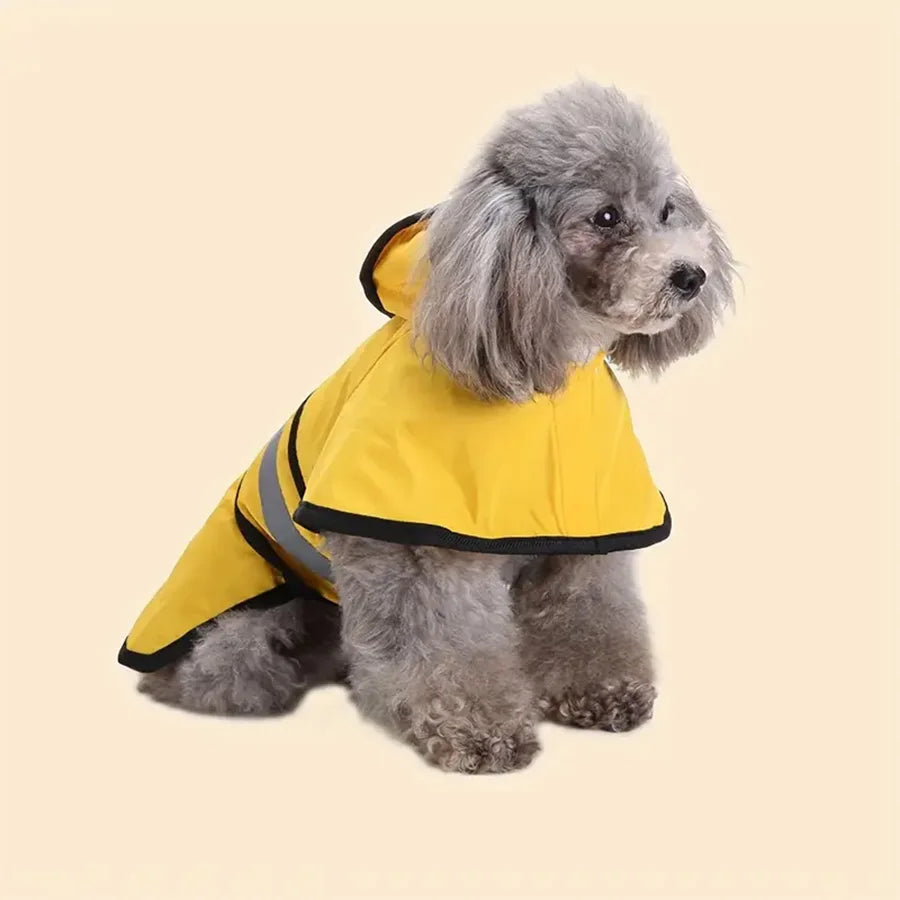 Raincoat 5