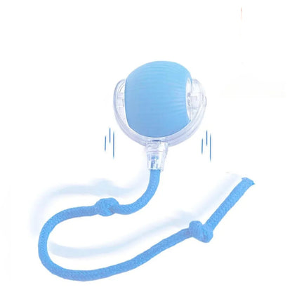 Interactive Ball Toy 2