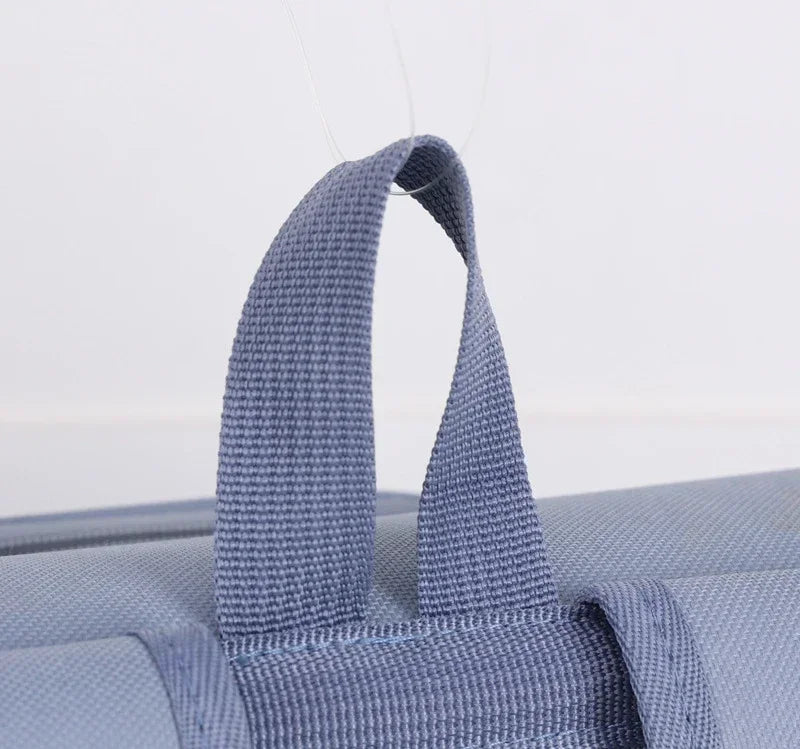 Cat Carrier Backpack 1