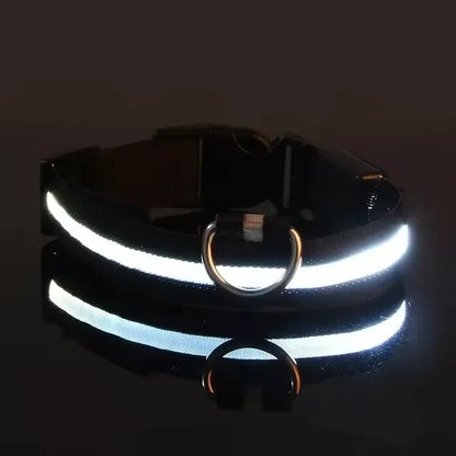 Led Glowing Collar