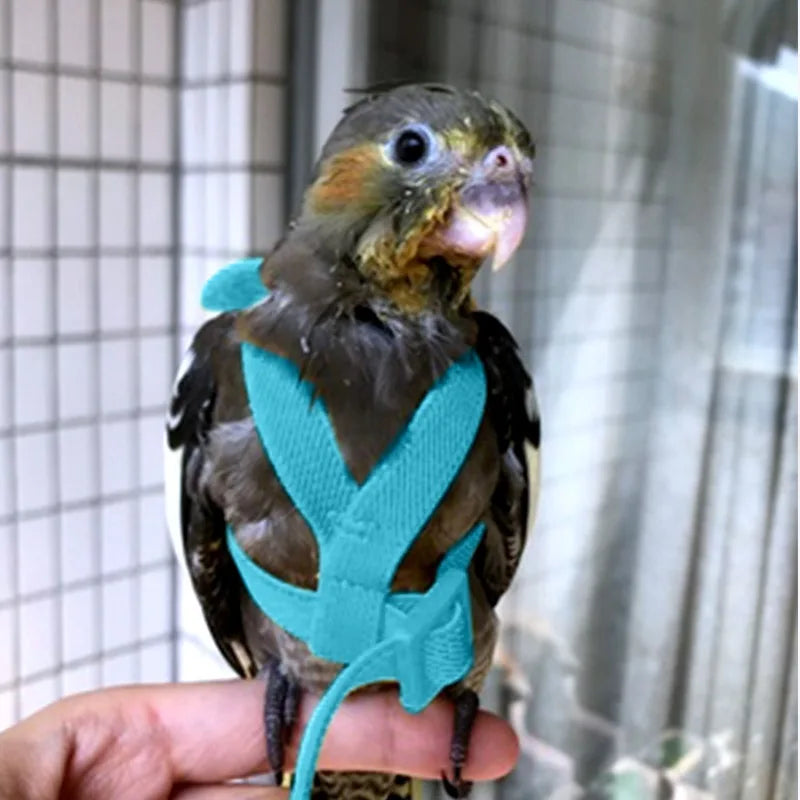 Parrot Harness Leash
