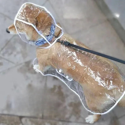 Small Dog Raincoat