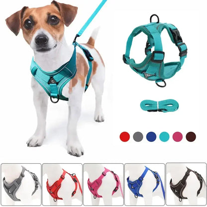 No-Pull Reflective Harness Set