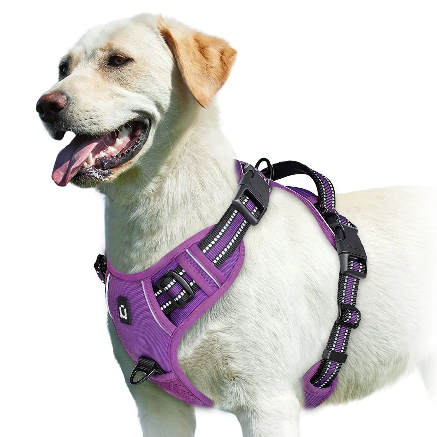 No-Pull Padded Harness