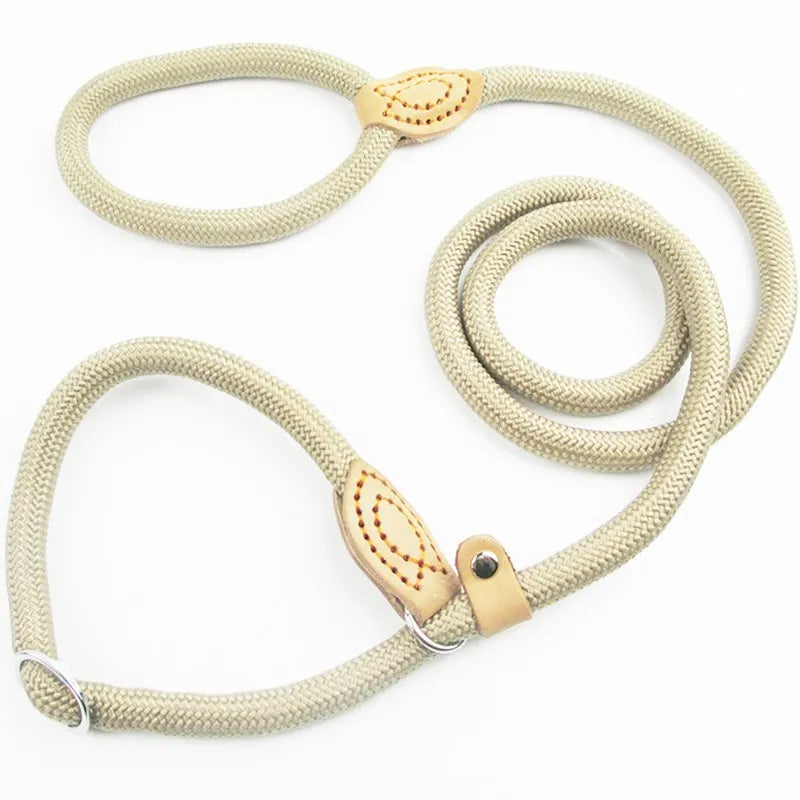 Braided Slip Rope Leash