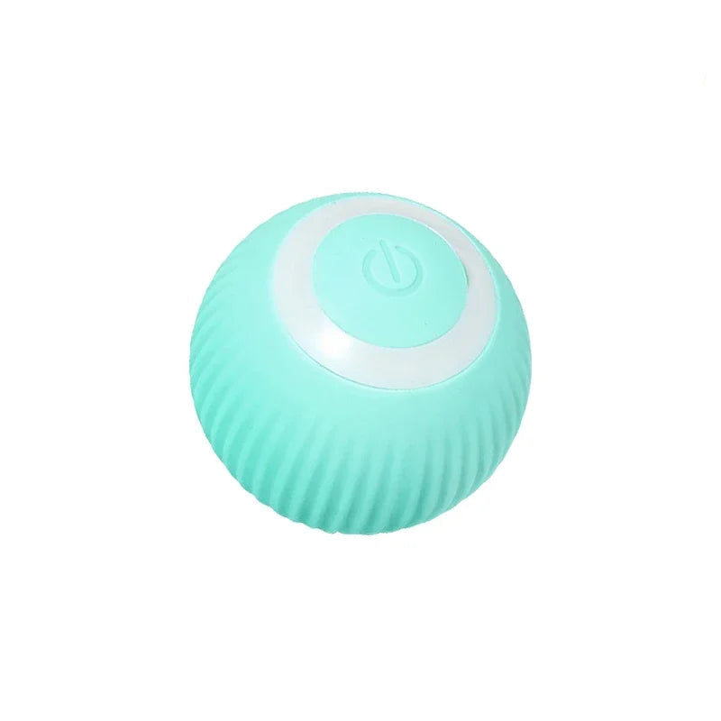 Interactive Ball Toy