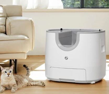 Cat Automatic Litter Box 4