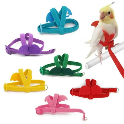 Parrot Harness Leash